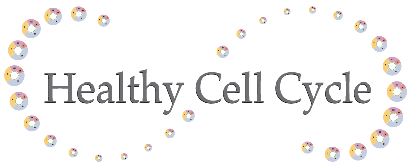 Healthy Cell Cycle